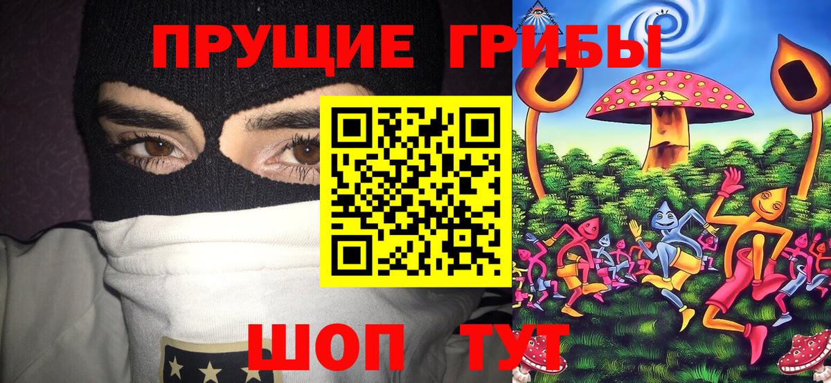 Галлюциногенные грибы мицелий  Псилоцибиновые грибы Psilocybe  Вход с VPN  Сибай 